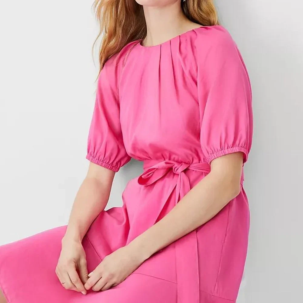 NWT Ann Taylor Pleated Flare Pocket Dress - Picture 4 of 4